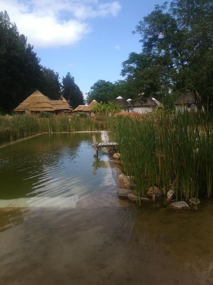 Rustic Thatch Installation
