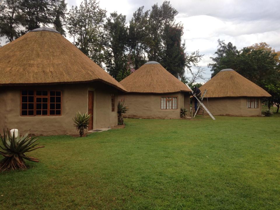 Thatch Roof Project